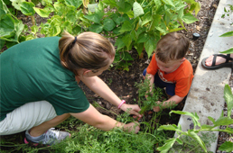 Edible Garden in the Children's Garden