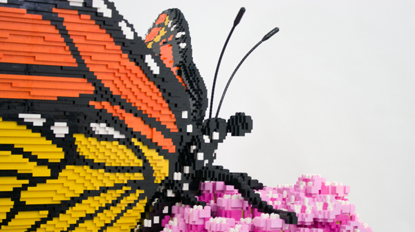 Close-up on LEGO brick butterfly