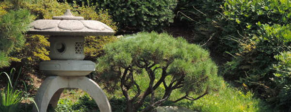 Stone lantern in the Japanese Garden
