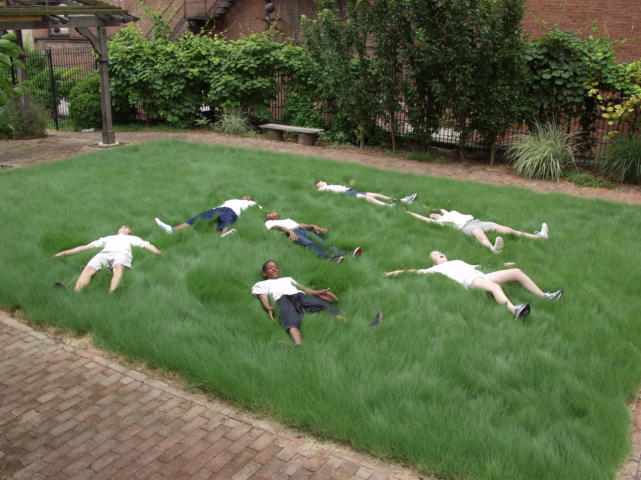 The EarthWays Home buffalo grass exhibit