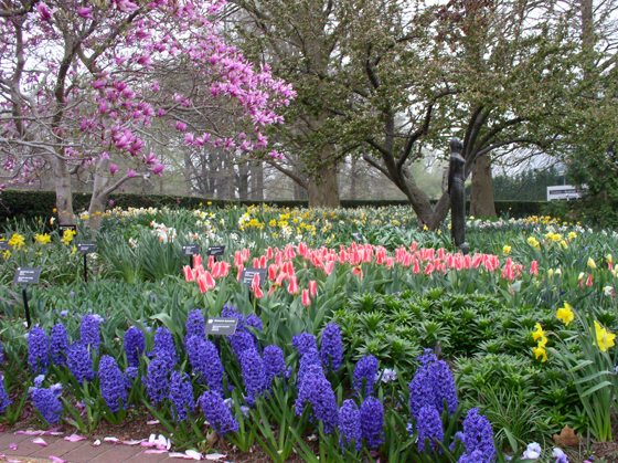 Spring blooms