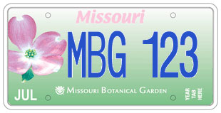 Sample license plate