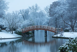 Japanese Garden drum bridge in snow