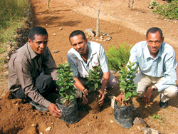 Collaboration Madagascar