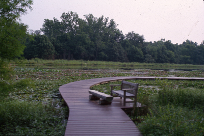 boardwalk