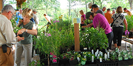 Vendors and buyers at the fall wildflower sale