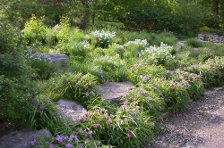 Home Gardening Area