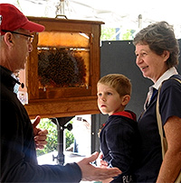 Beekeeper talks with festival-goers