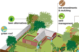 Rainscaping Graphic